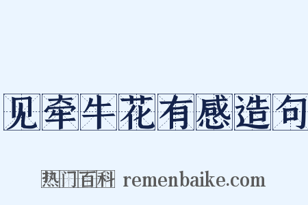 见牵牛花有感造句是什么意思的图片